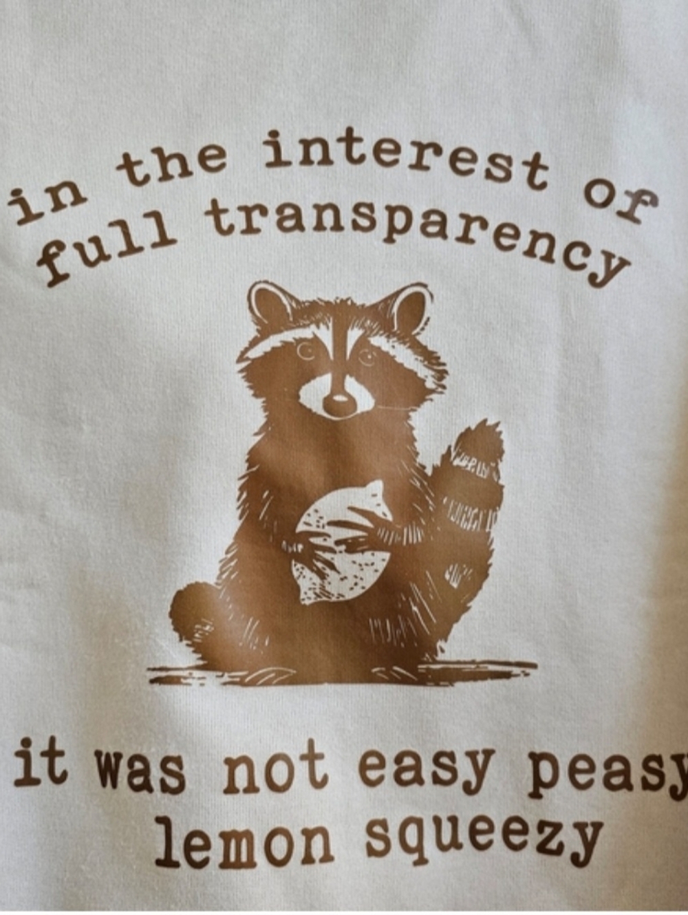 SHEIN beige racoon graphic sweater